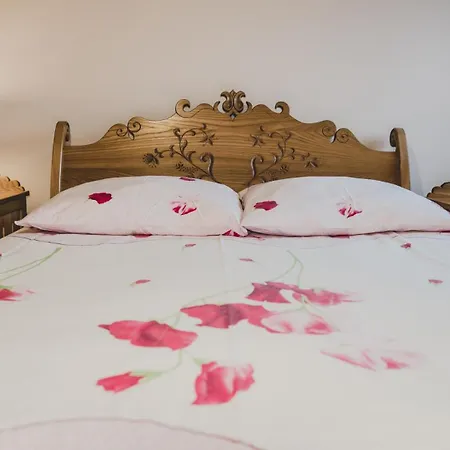 Homestay szállás Nosalówka