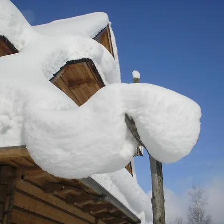 Проживание в семье Nosalowka *